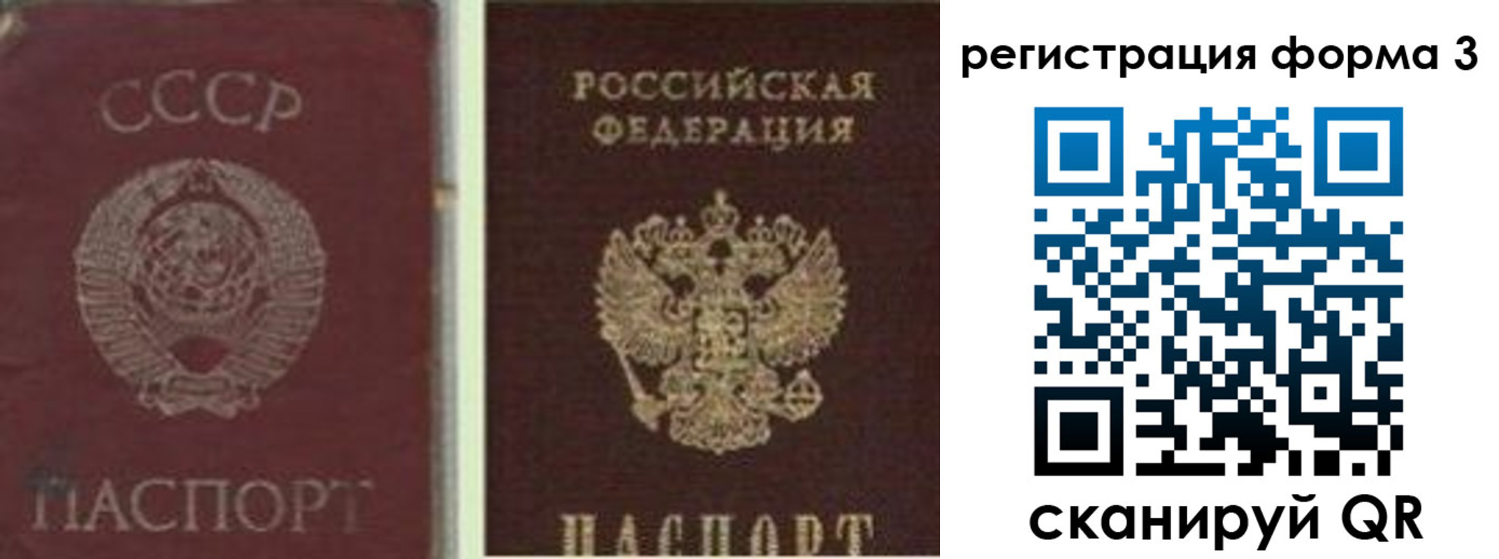 прописка для школы в Мончегорске